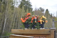 Enlarge photo 45