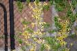 Enlarge photo 34