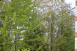 Enlarge photo 36