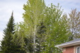 Enlarge photo 37