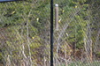 Enlarge photo 18