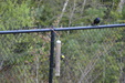 Enlarge photo 30
