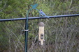 Enlarge photo 26