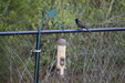 Enlarge photo 31