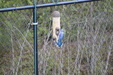 Enlarge photo 29