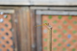 Enlarge photo 25