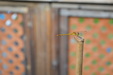 Enlarge photo 26