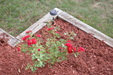 Enlarge photo 31