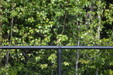 Enlarge photo 42