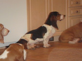 Enlarge photo 37