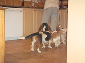 Enlarge photo 44