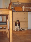 Enlarge photo 43