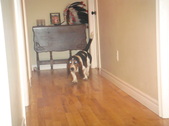 Enlarge photo 47