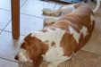 Enlarge photo 7