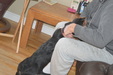 Enlarge photo 3