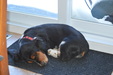 Enlarge photo 10