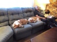 Enlarge photo 2