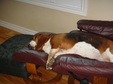Enlarge photo 2