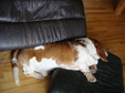 Enlarge photo 10