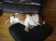 Enlarge photo 11