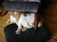 Enlarge photo 12