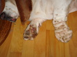 Enlarge photo 14