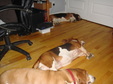Enlarge photo 4