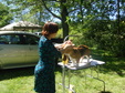 Enlarge photo 5