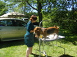 Enlarge photo 6