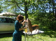 Enlarge photo 7