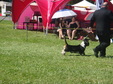 Enlarge photo 28
