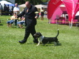 Enlarge photo 27