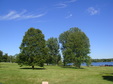 Enlarge photo 31