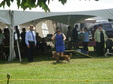 Enlarge photo 36