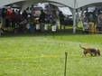 Enlarge photo 35