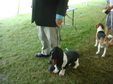 Enlarge photo 37