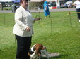 Enlarge photo 40