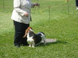 Enlarge photo 39
