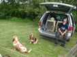 Enlarge photo 41