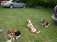 Enlarge photo 44