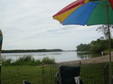 Enlarge photo 45