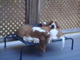 Enlarge photo 13
