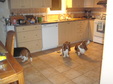 Enlarge photo 22