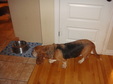 Enlarge photo 24