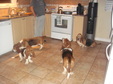 Enlarge photo 27