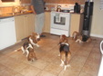Enlarge photo 28