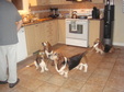 Enlarge photo 29