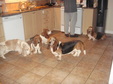 Enlarge photo 32