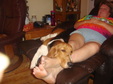 Enlarge photo 33