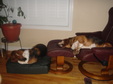 Enlarge photo 34